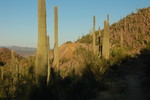 photo thumbnail #3