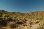 photo thumbnail #11