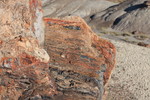 photo thumbnail #15
