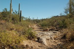 photo thumbnail #14