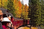 photo thumbnail #9