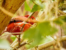 photo thumbnail #12
