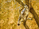 photo thumbnail #13