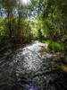 photo thumbnail #14