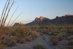 photo thumbnail #3