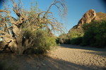 photo thumbnail #7