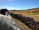 photo thumbnail #11