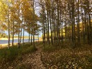 photo thumbnail #6