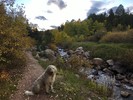 photo thumbnail #10