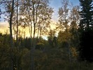 photo thumbnail #13