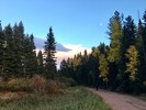 photo thumbnail #15