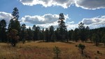 photo thumbnail #15