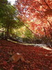 photo thumbnail #8