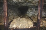 photo thumbnail #12