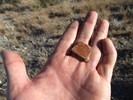 photo thumbnail #5