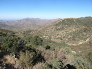 photo thumbnail #13