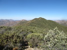photo thumbnail #15
