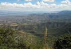 photo thumbnail #8