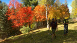 photo thumbnail #9