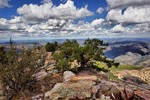 photo thumbnail #15