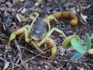 photo thumbnail #2