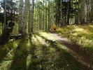 photo thumbnail #4
