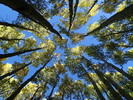 photo thumbnail #15