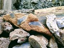 photo thumbnail #7