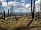 photo thumbnail #12