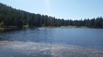 photo thumbnail #2