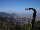 photo thumbnail #1