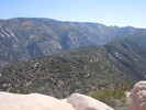 photo thumbnail #8