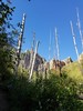 photo thumbnail #4