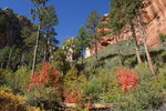 photo thumbnail #8