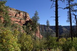 photo thumbnail #15