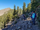 photo thumbnail #2