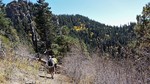 photo thumbnail #6