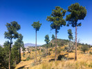 photo thumbnail #13