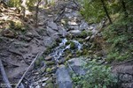 photo thumbnail #6