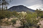photo thumbnail #13