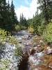 photo thumbnail #12
