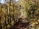 photo thumbnail #1