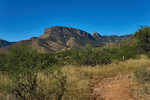 photo thumbnail #8