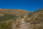 photo thumbnail #11