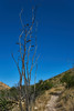 photo thumbnail #15