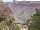 photo thumbnail #5