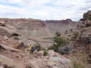 photo thumbnail #6