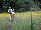 photo thumbnail #4