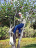 photo thumbnail #6