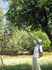 photo thumbnail #7